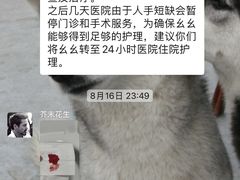 -柏萃动物医院·骨科·牙科