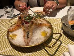 -一棵树·意大利西餐厅One Tree(新城店)
