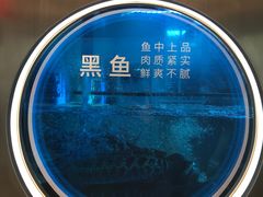 -鱼酷活鱼烤鱼(沈阳大悦城店)