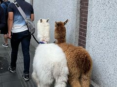 -安福路