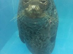 -左海海底世界