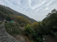 -韬光茶庵