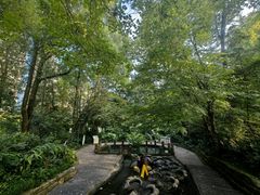 -成都市活水公园