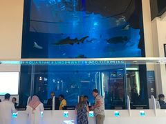景点-迪拜水族馆及水下动物园