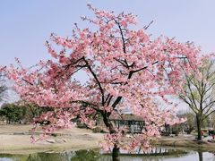-上海辰山植物园