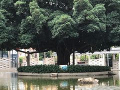-东部华侨城