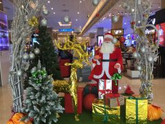 -芽庄中心购物广场