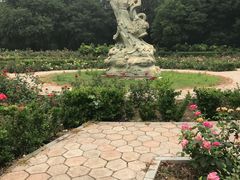 -廊坊市自然公园