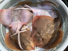 -兴旺渔家