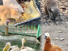 -水上乐园·欢乐世界