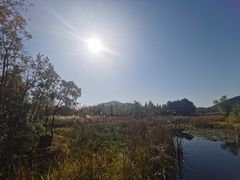 -长广溪湿地公园