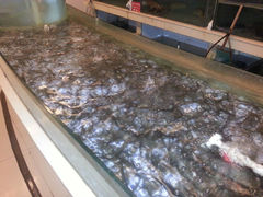android_upload_pic-临江仙酒店