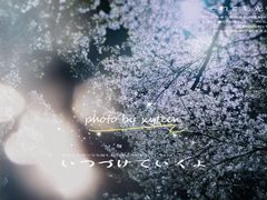 -武汉大学-樱园
