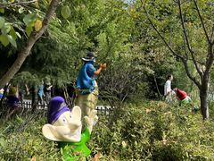 -合肥滨湖国家森林公园