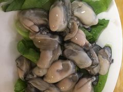 -金砂阿洲鱼册店