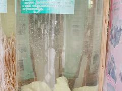 -北京鹿世界主题园
