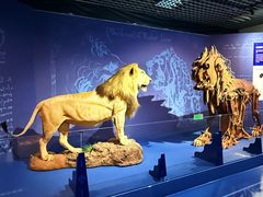 -国家自然博物馆