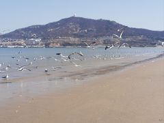 -金海滩海水浴场