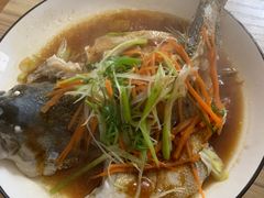 -田螺阿姨自营月嫂·育儿嫂(高新店)
