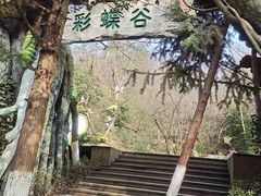 -天目湖山水园