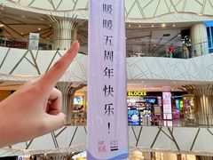 -武汉光谷K11
