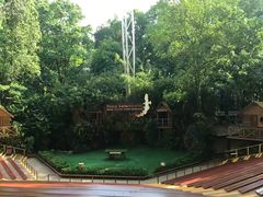 -新加坡飞禽公园