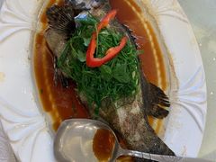 葱丝蒸花斑-福满园大酒楼(梅林店)