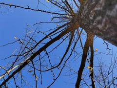 -重庆中央公园(渝北区)