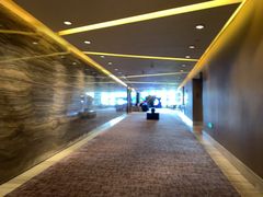 -北京王府井希尔顿酒店·秦唐中餐厅Chynna