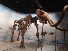 -辽宁古生物博物馆