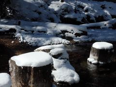 -白马王朗自然风景区