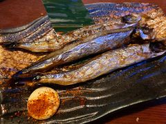 烤多春鱼-九州酒场ひこぞう(1号店)