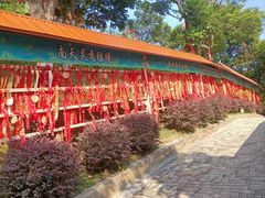 -东莞观音山旅游风景区