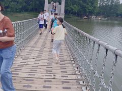 -东湖落雁景区