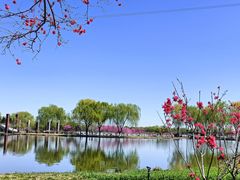 -石家庄市植物园