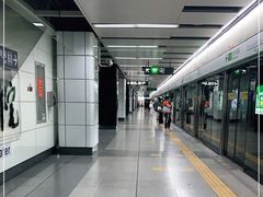 -大剧院(地铁站)