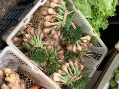 -和顺古镇