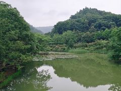 -桃花岭景区