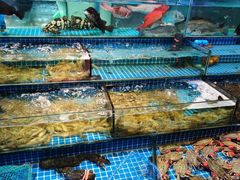 -渔人湾码头海鲜市场负二楼