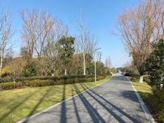 -昆山城市生态森林公园