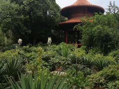 -西苑公园
