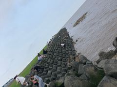 -南汇嘴观海公园