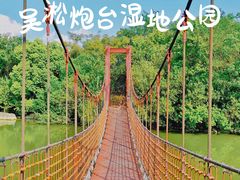 -上海吴淞炮台湾国家湿地公园