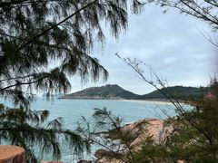 -广东惠东海龟国家级自然保护区