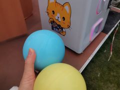-陆家嘴中心绿地