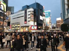 -涩谷全向十字路口