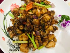 煎焗勒流走地鸡-百丈园龙江啫神馆