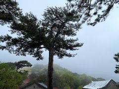 -妙峰山风景名胜区