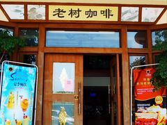 -OLD TREE老树咖啡·西餐厅(台山人工湖店)