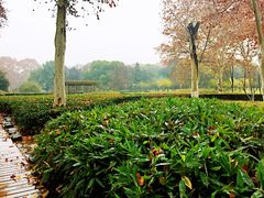 景点-解放公园